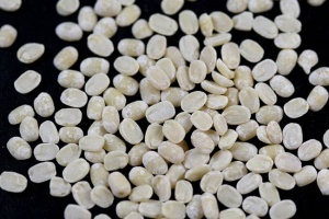 white lentil